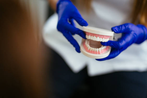 Trusted Healdton, OK Holistic Dental Care Services Experts